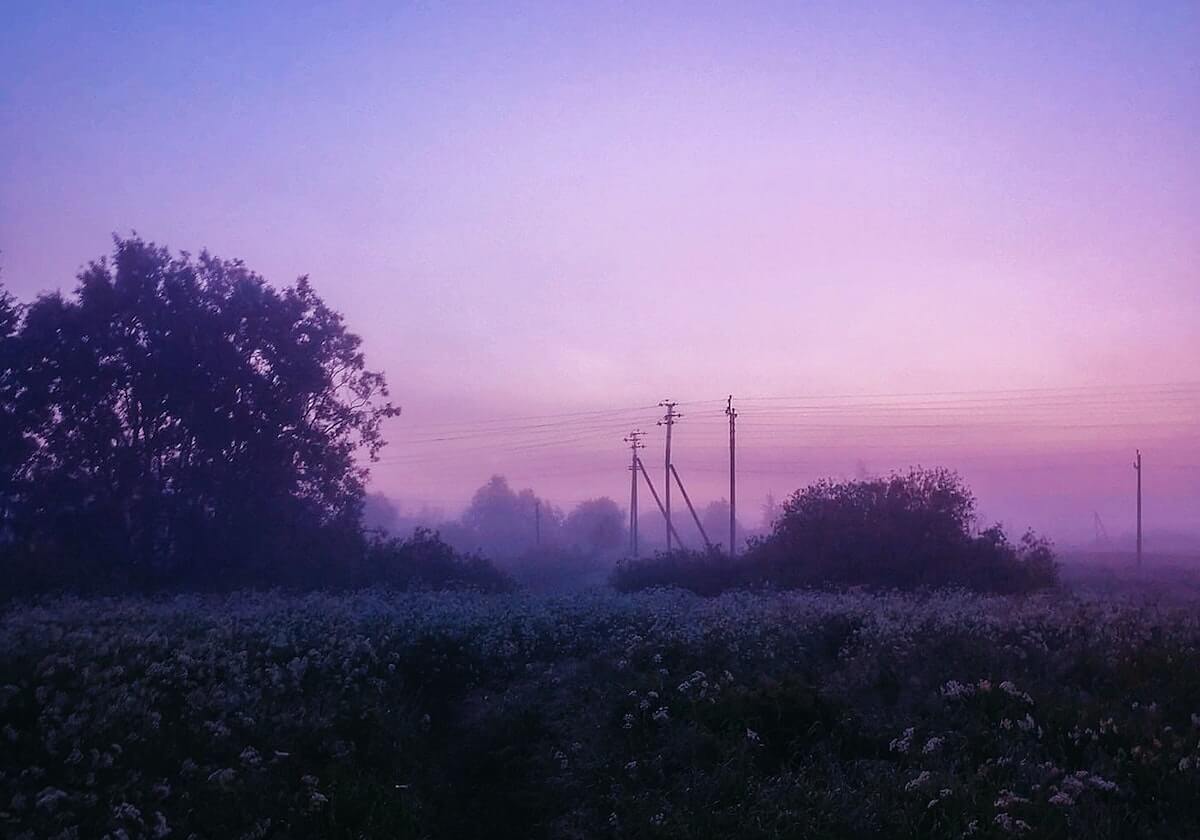 德甲深耕阿联酋青训体系化 照见现实对比我国网红模式的偏航